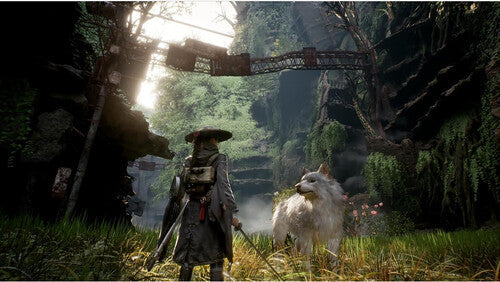 Beast Of Reincarnation - (New) (Playstation 5)